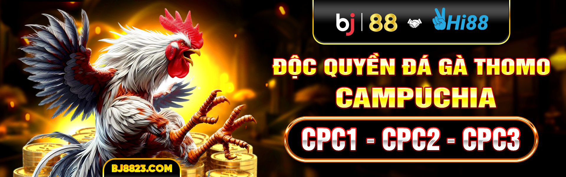 Banner BJ88