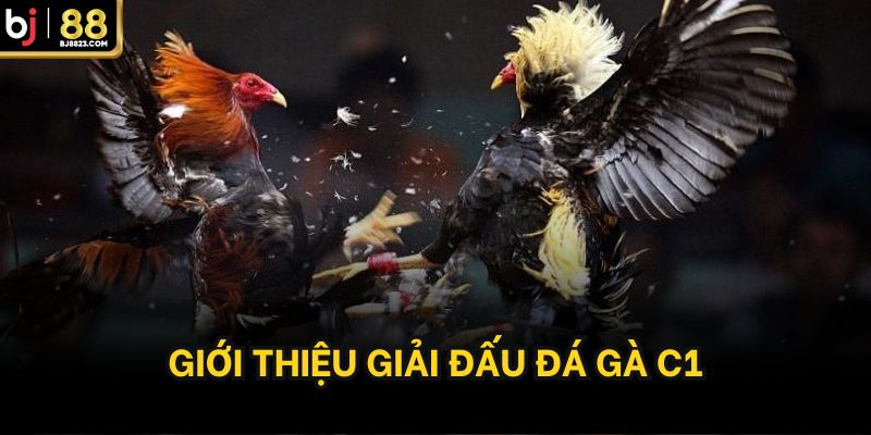 Giới thiệu giải đấu đá gà C1