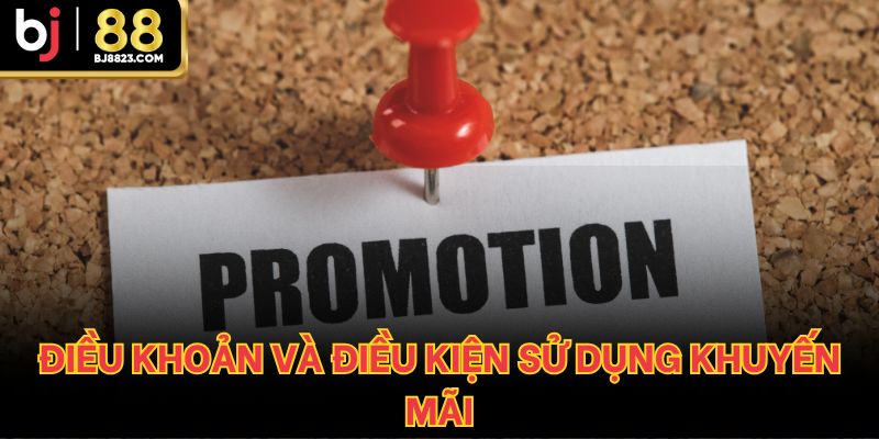 Điều khoản và điều kiện sử dụng khuyến mãi