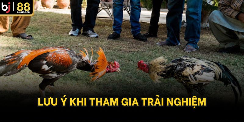 Lưu ý khi tham gia trải nghiệm