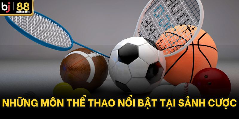 Những môn thể thao nổi bật tại sảnh cược