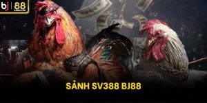 Sảnh SV388 bj88
