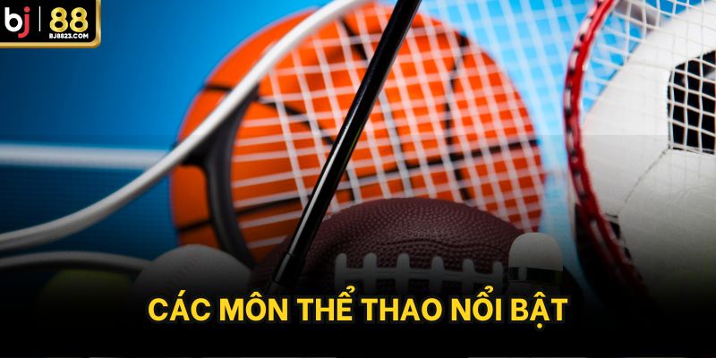 Các môn thể thao nổi bật
