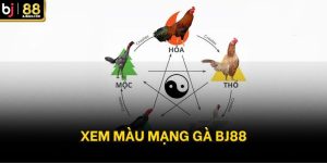 Xem màu mạng gà BJ88