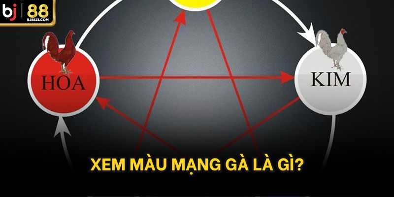 Xem màu mạng gà là gì?