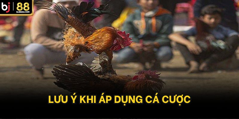 Lưu ý khi áp dụng cá cược