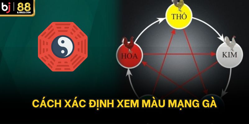 Cách xác định xem màu mạng gà