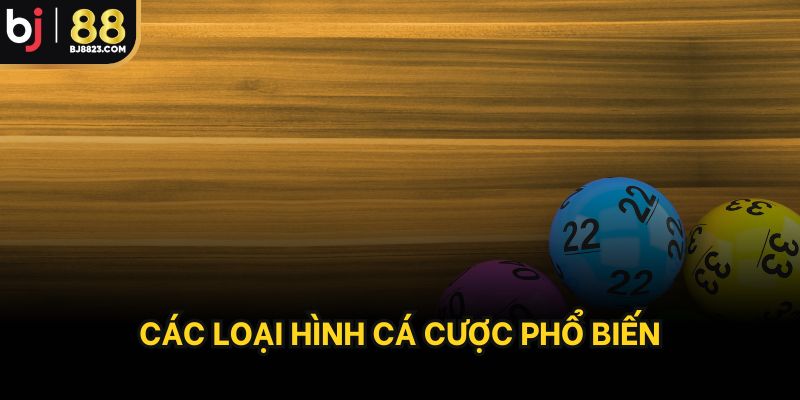 Các loại hình cá cược phổ biến
